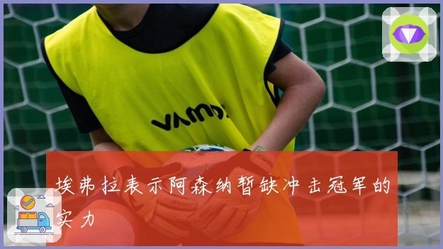 埃弗拉表示阿森纳暂缺冲击冠军的实力