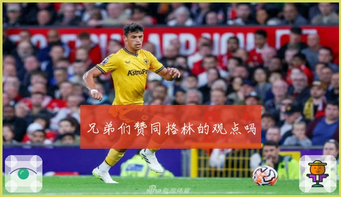 兄弟们赞同格林的观点吗