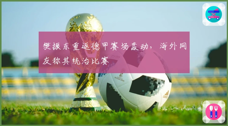 樊振东重返德甲赛场轰动，海外网友称其统治比赛